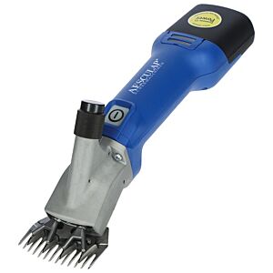 Scheermachine Econom CL NOVA met accu schaap GT684