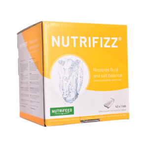 Nutrifizz bruistablet 42 x 1 tablet