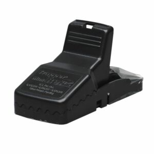 Muizenval Trapper mini-REX