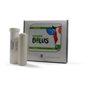 PowerBolus Fosfor 4 stuks
