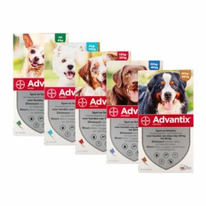 Advantix Hond