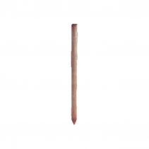 Paal hout 10 cm 200 cm 