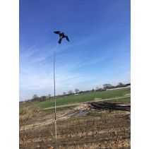 Vogelverschrikker Bird Scaring Kite 4m. met draaiende voet