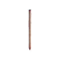Paal hout 10 cm 200 cm 