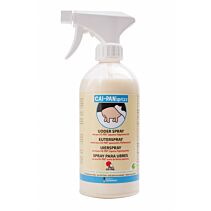 Cai Pan Sprizz wit 500 ml