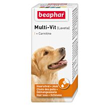 Multi-Vit hond met carnitine 20ml