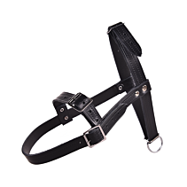 Rammenhalster met keelband, zwart leer