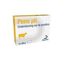 Pens Pil - 4 stuks