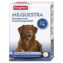Milquestra wormtabletten hond groot 2 tabl.