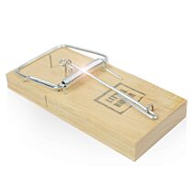 Muizenval Hout Little Nipper
